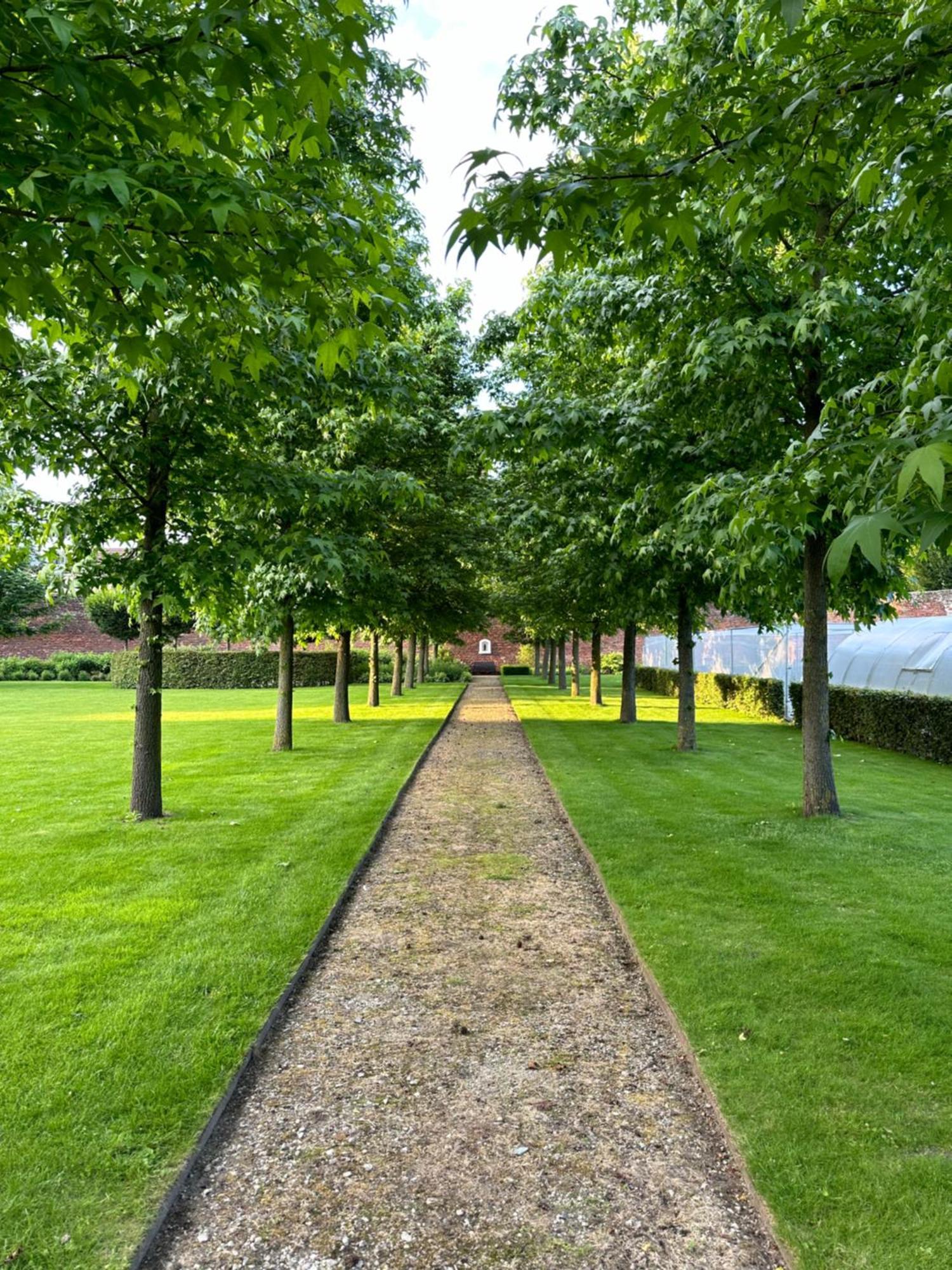 B&B Maria Hart Weert Exterior foto